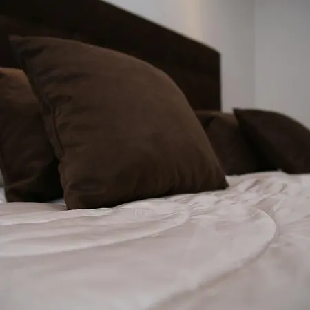 公寓 Luxury 塞拉耶佛